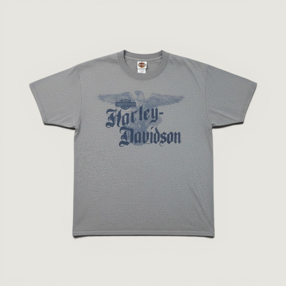 Harley-Davidson Oil City Casper Wyoming Graphic T-Shirt Mens Large Gray Eagle
